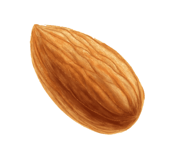 Sliced apple accent graphic